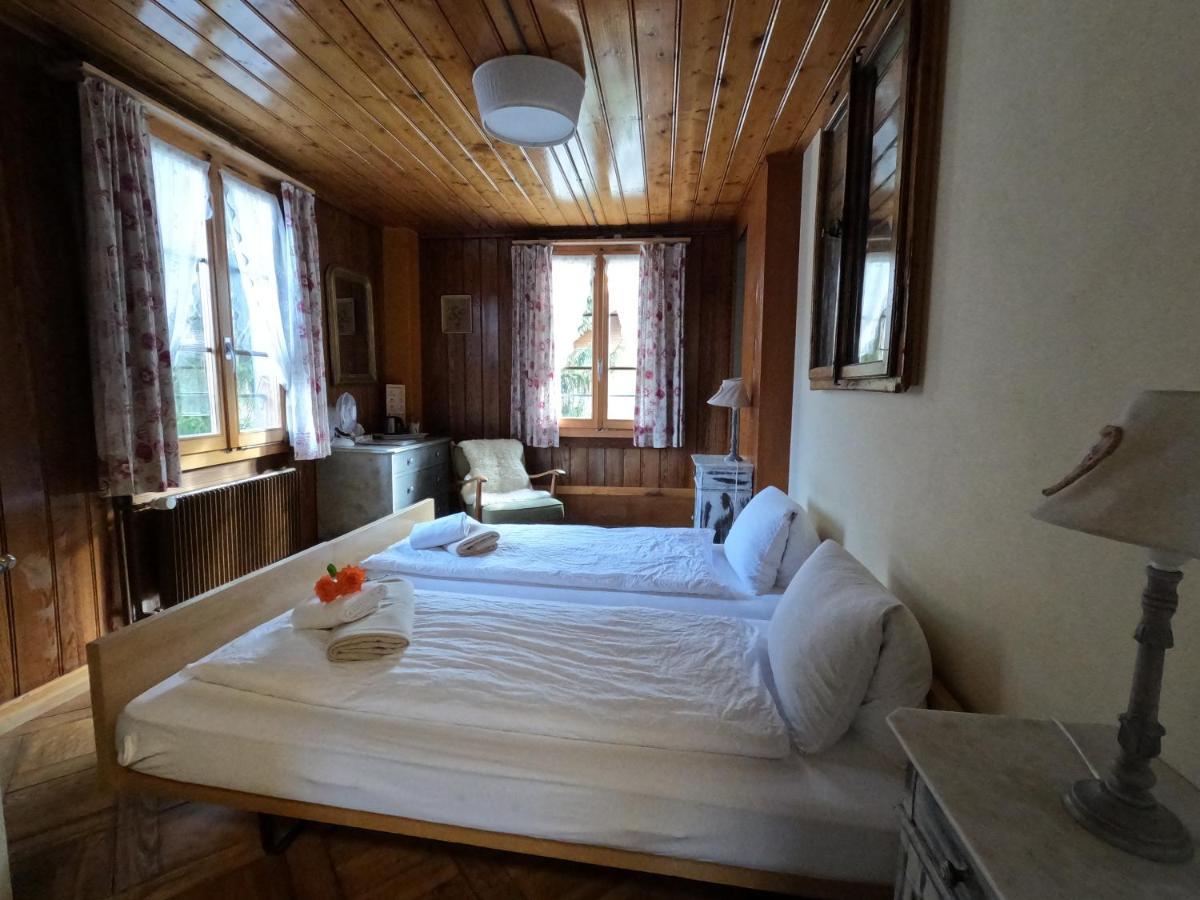 Edelweiss Lodge Wilderswil Ngoại thất bức ảnh