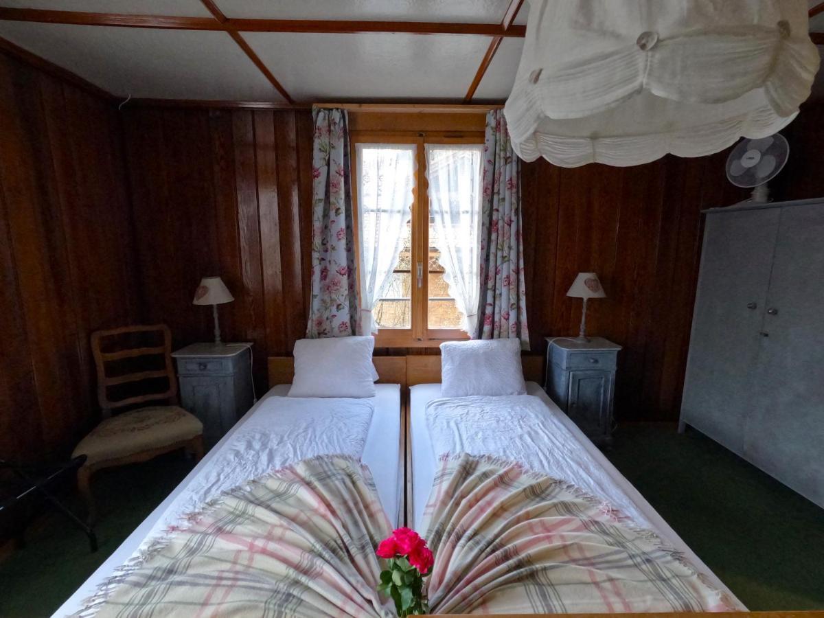 Edelweiss Lodge Wilderswil Ngoại thất bức ảnh