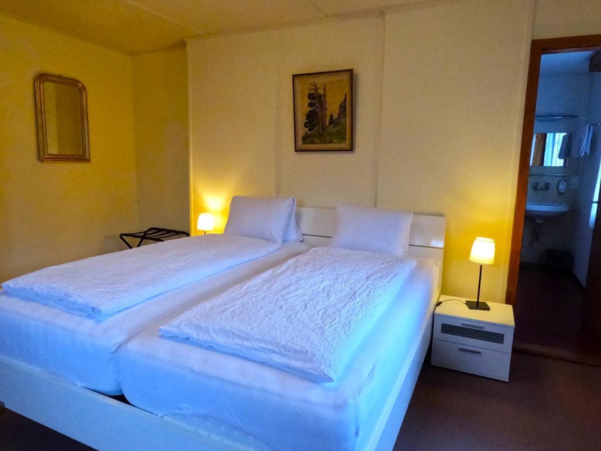 Edelweiss Lodge Wilderswil Ngoại thất bức ảnh