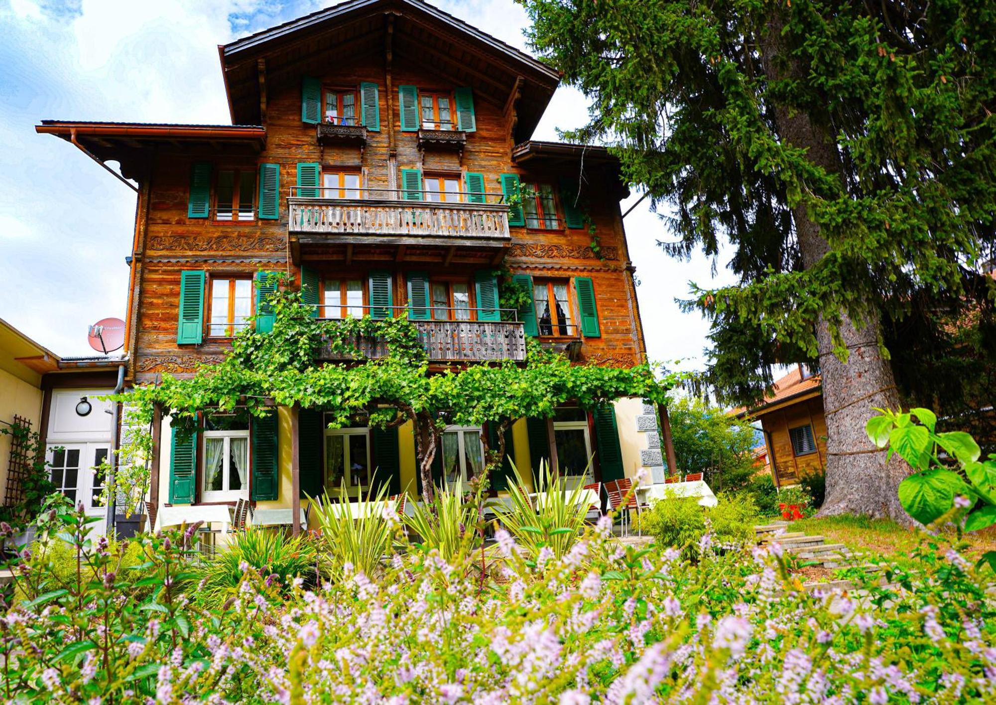 Edelweiss Lodge Wilderswil Ngoại thất bức ảnh