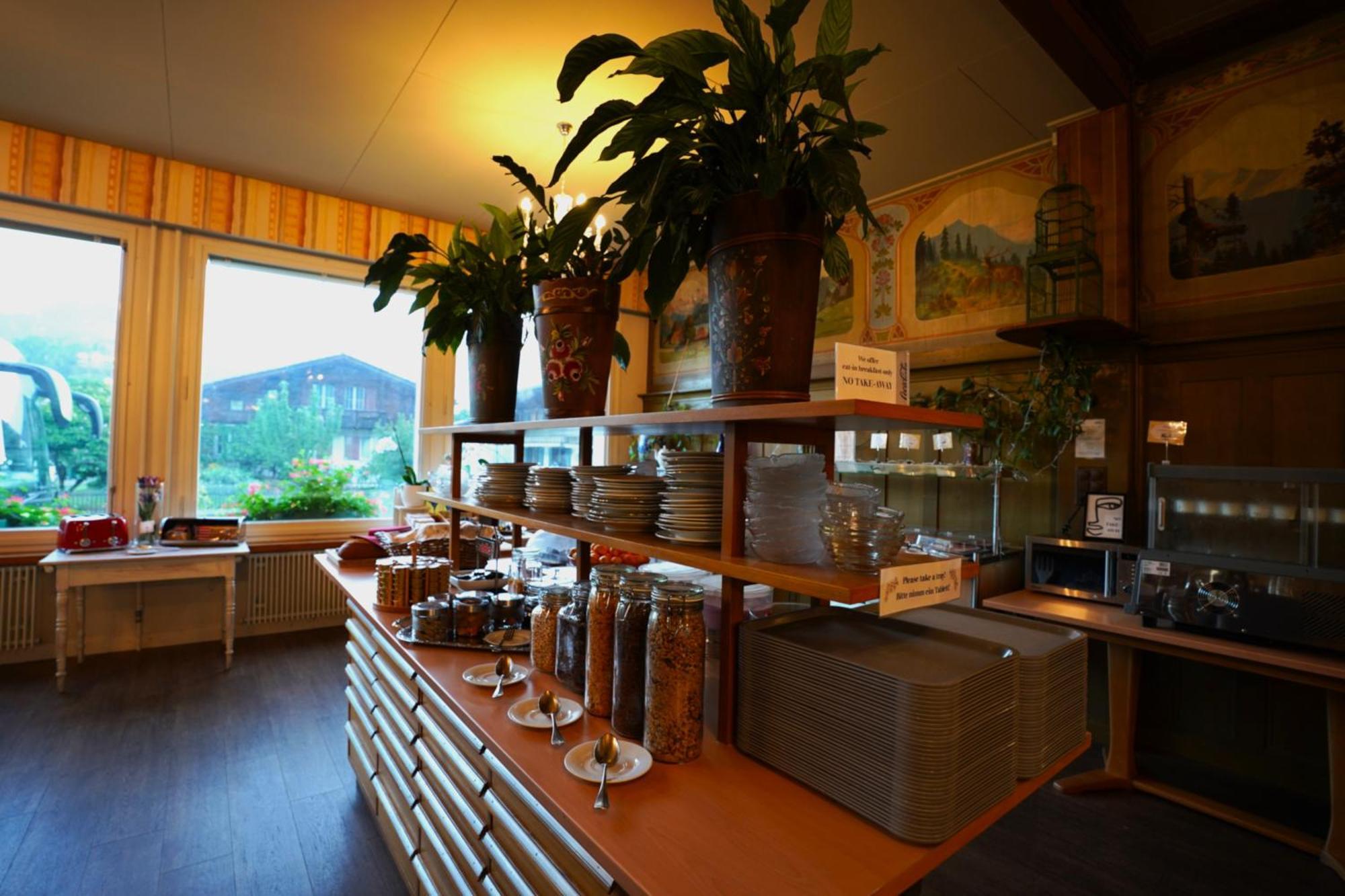 Edelweiss Lodge Wilderswil Ngoại thất bức ảnh