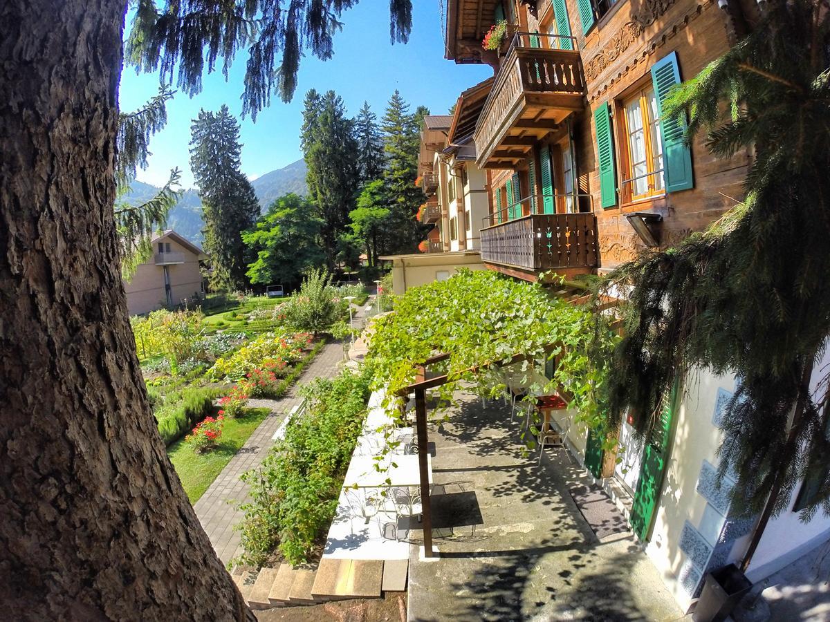 Edelweiss Lodge Wilderswil Ngoại thất bức ảnh