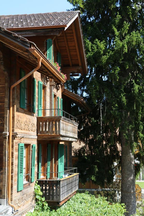 Edelweiss Lodge Wilderswil Ngoại thất bức ảnh