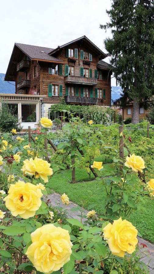 Edelweiss Lodge Wilderswil Ngoại thất bức ảnh