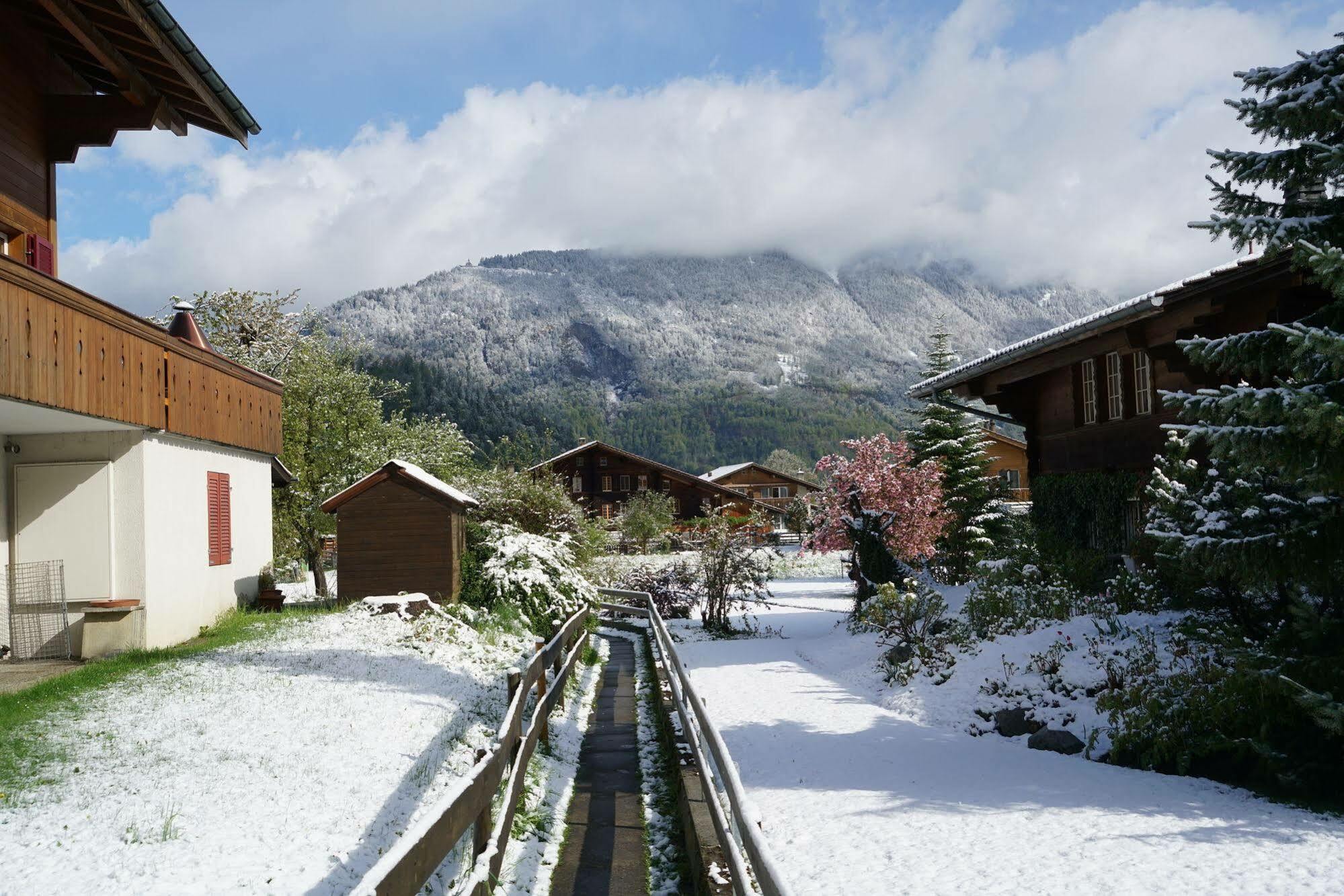 Edelweiss Lodge Wilderswil Ngoại thất bức ảnh
