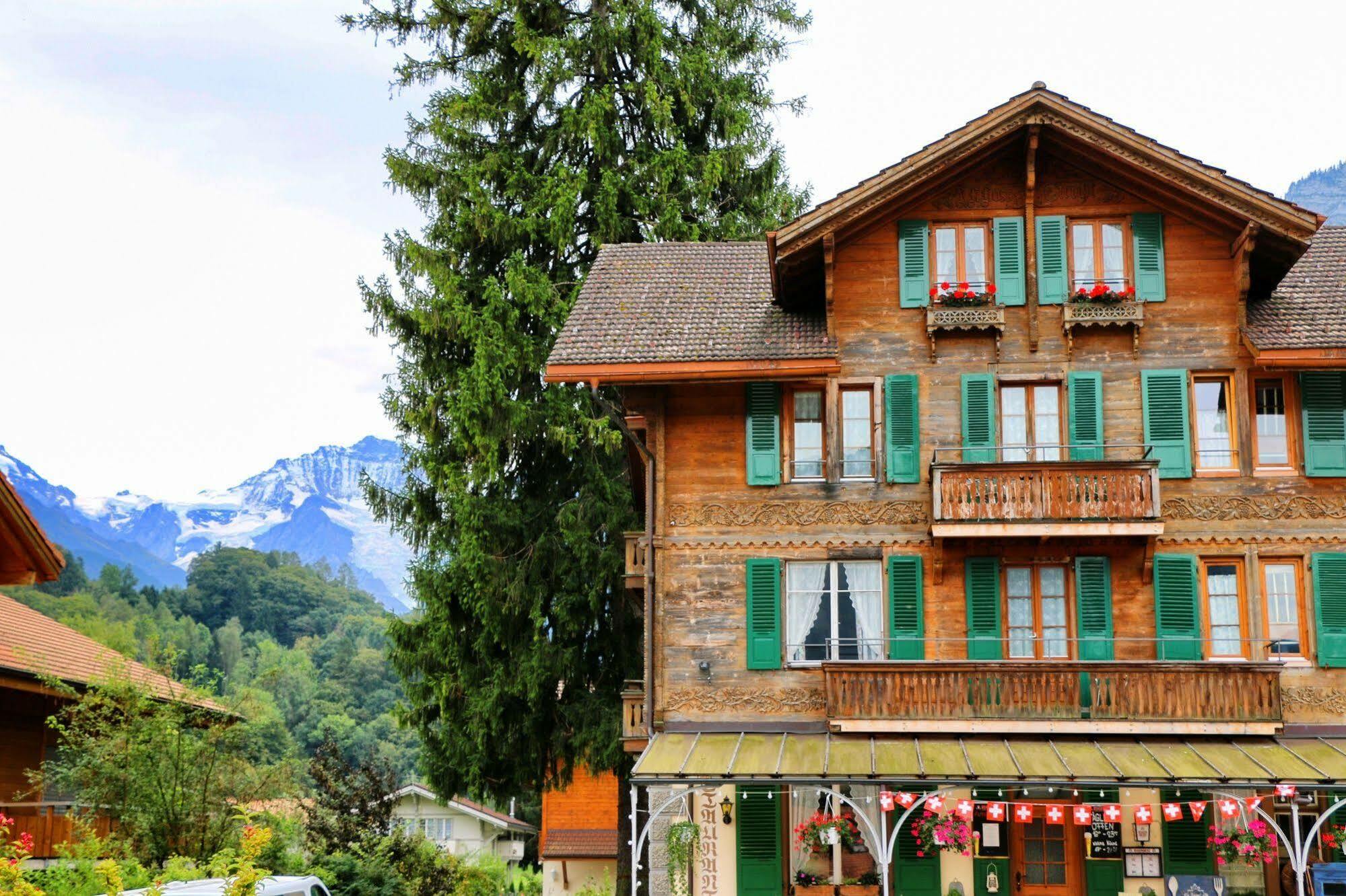 Edelweiss Lodge Wilderswil Ngoại thất bức ảnh