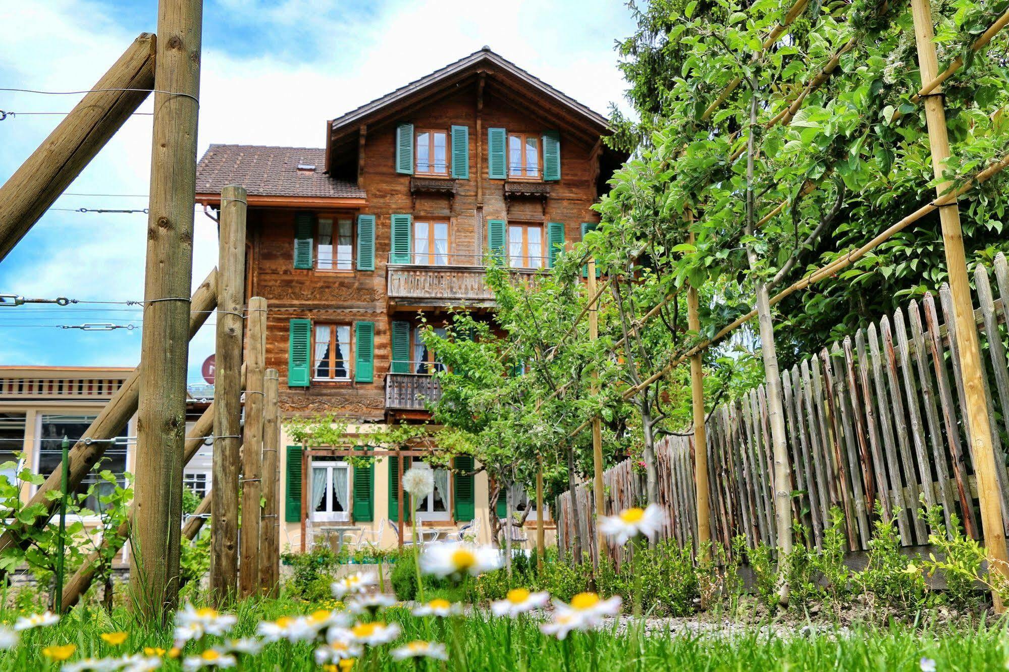Edelweiss Lodge Wilderswil Ngoại thất bức ảnh