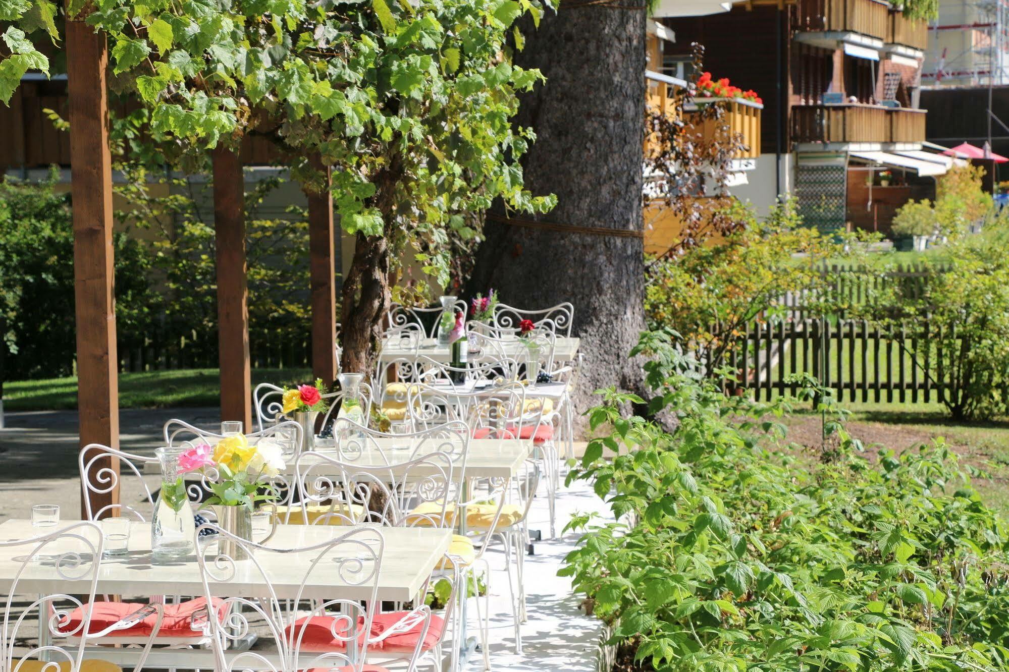 Edelweiss Lodge Wilderswil Ngoại thất bức ảnh
